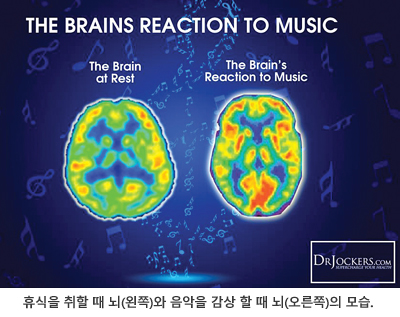 노래와 뇌 건강 — 함께 노래하는 것이 뇌에 미치는 긍정적 영