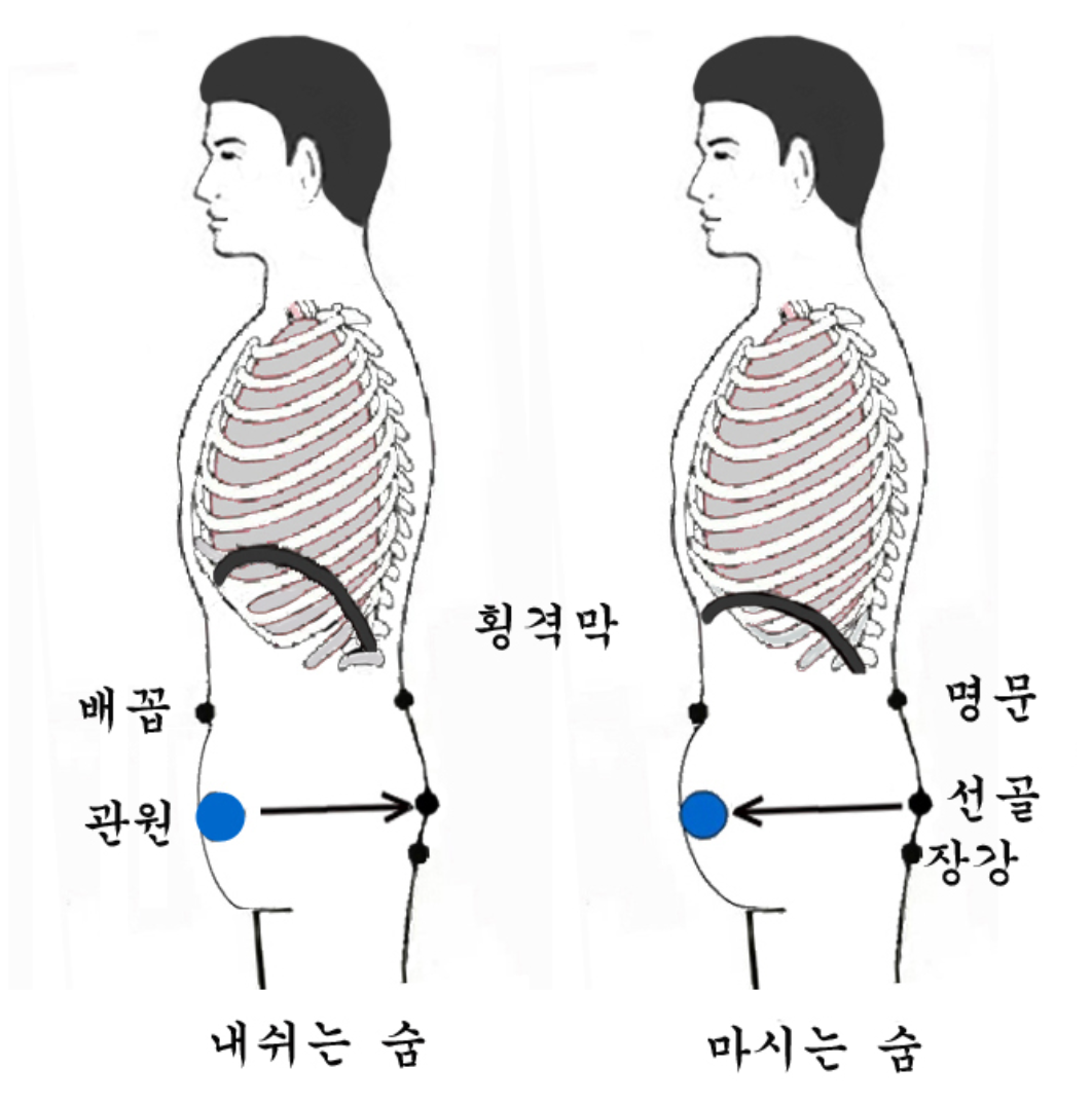 단전의 위치